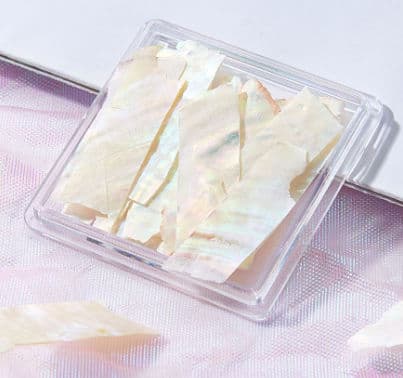 قشور الصدف 6