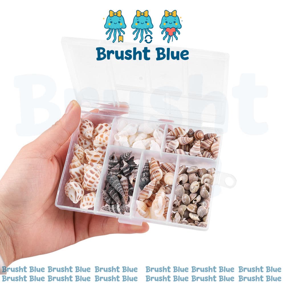 علبه اصداف بحريه